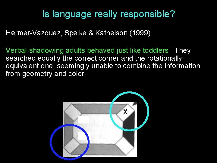 Is language really responsible? Hermer-Vazquez, Spelke & Katnelson (1999) Verbal-shadowing adults behaved just like