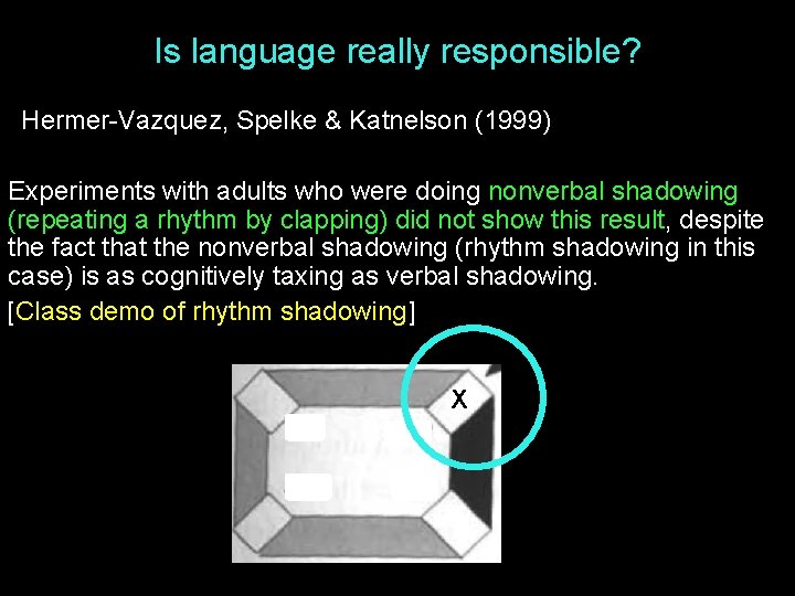 Is language really responsible? Hermer-Vazquez, Spelke & Katnelson (1999) Experiments with adults who were