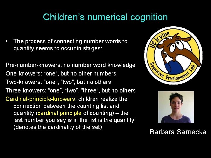 Children’s numerical cognition • The process of connecting number words to quantity seems to