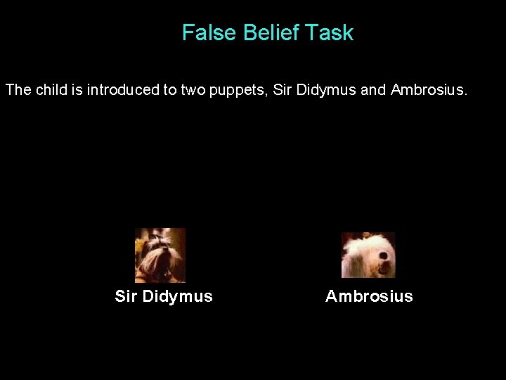 False Belief Task The child is introduced to two puppets, Sir Didymus and Ambrosius.