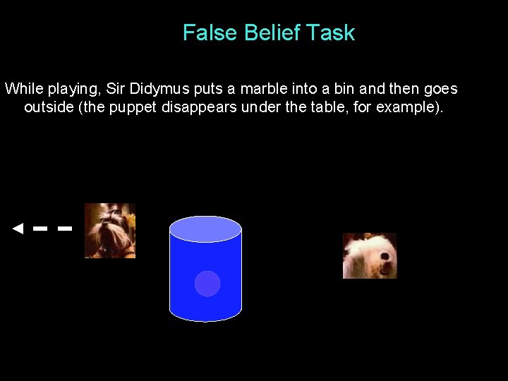 False Belief Task While playing, Sir Didymus puts a marble into a bin and