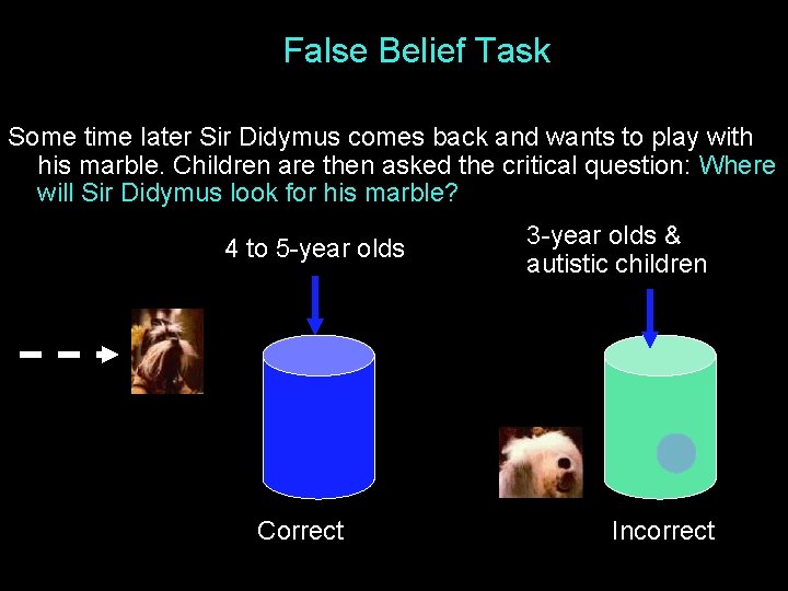 False Belief Task Some time later Sir Didymus comes back and wants to play