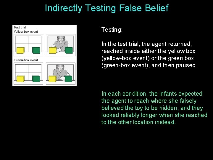 Indirectly Testing False Belief Testing: In the test trial, the agent returned, reached inside