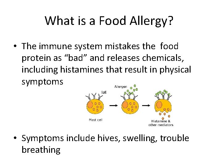 What is a Food Allergy? • The immune system mistakes the food protein as What is a Food Allergy? • The immune system mistakes the food protein as