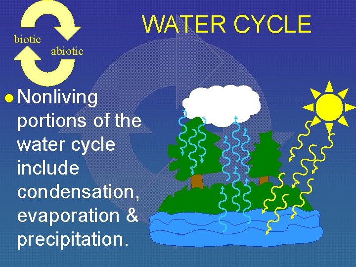 biotic WATER CYCLE abiotic l Nonliving portions of the water cycle include condensation, evaporation