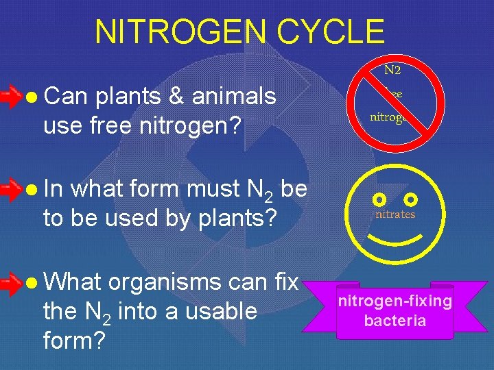 NITROGEN CYCLE l Can plants & animals use free nitrogen? what form must N