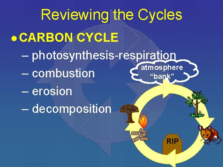 Reviewing the Cycles l CARBON CYCLE – photosynthesis-respiration atmosphere – combustion “bank” – erosion
