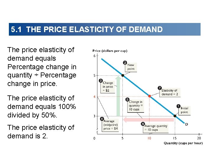 5. 1 THE PRICE ELASTICITY OF DEMAND The price elasticity of demand equals Percentage