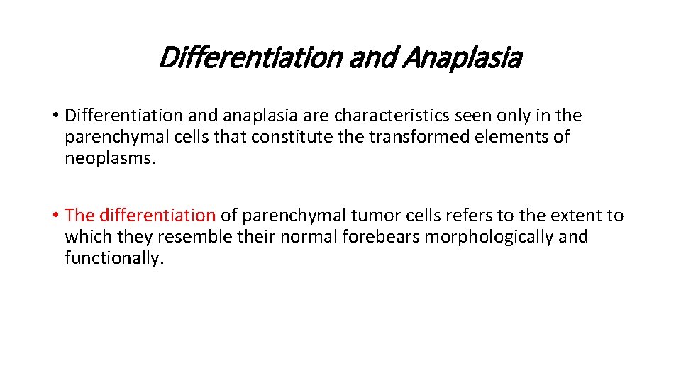 Differentiation and Anaplasia • Differentiation and anaplasia are characteristics seen only in the parenchymal