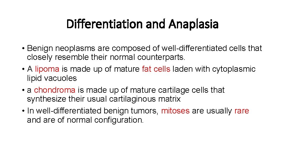 Differentiation and Anaplasia • Benign neoplasms are composed of well-differentiated cells that closely resemble