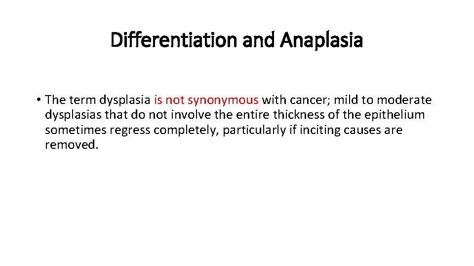 Differentiation and Anaplasia • The term dysplasia is not synonymous with cancer; mild to