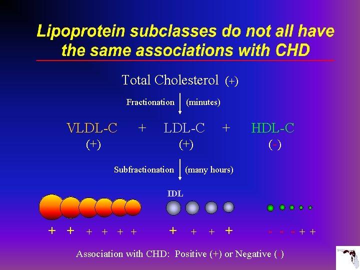 Total Cholesterol (+) Fractionation (minutes) VLDL-C + HDL-C (+) (-) Subfractionation (many hours) IDL