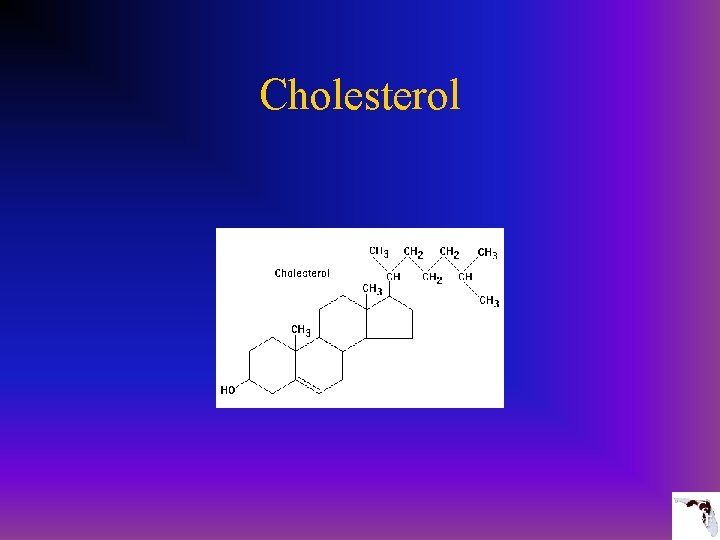 Cholesterol 