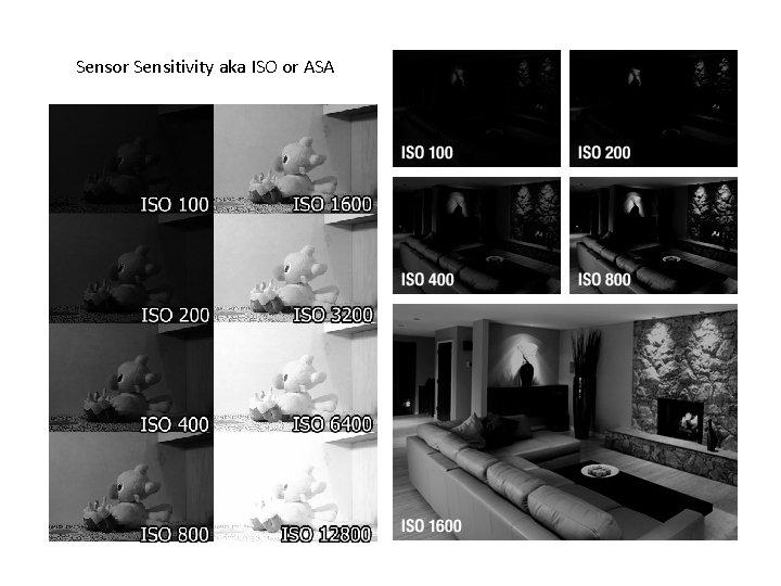 Sensor Sensitivity aka ISO or ASA 