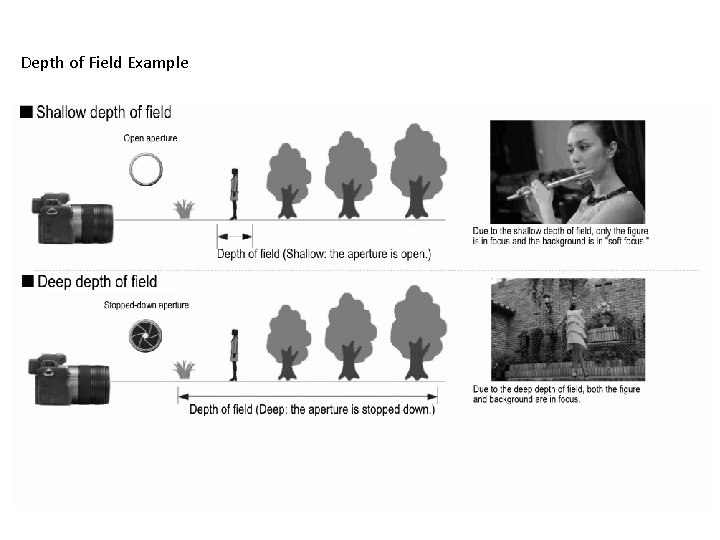 Depth of Field Example 
