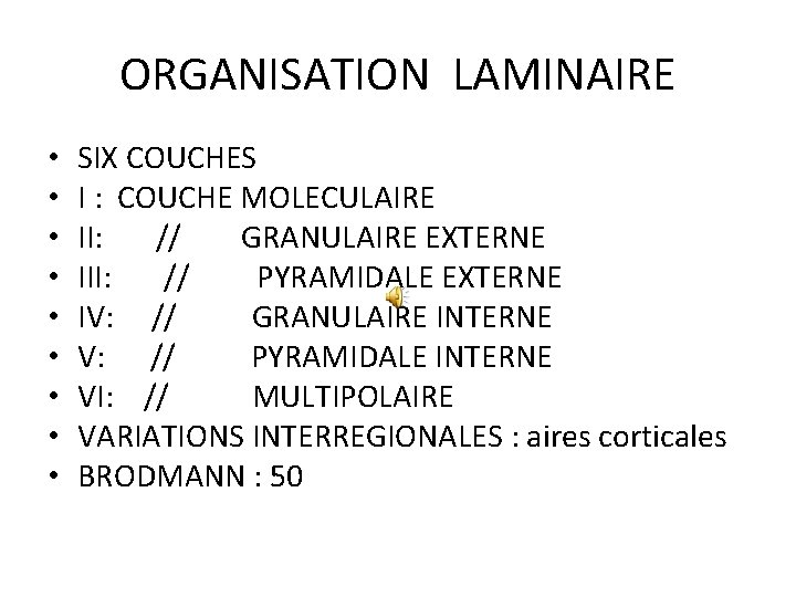 ORGANISATION LAMINAIRE • • • SIX COUCHES I : COUCHE MOLECULAIRE II: // GRANULAIRE
