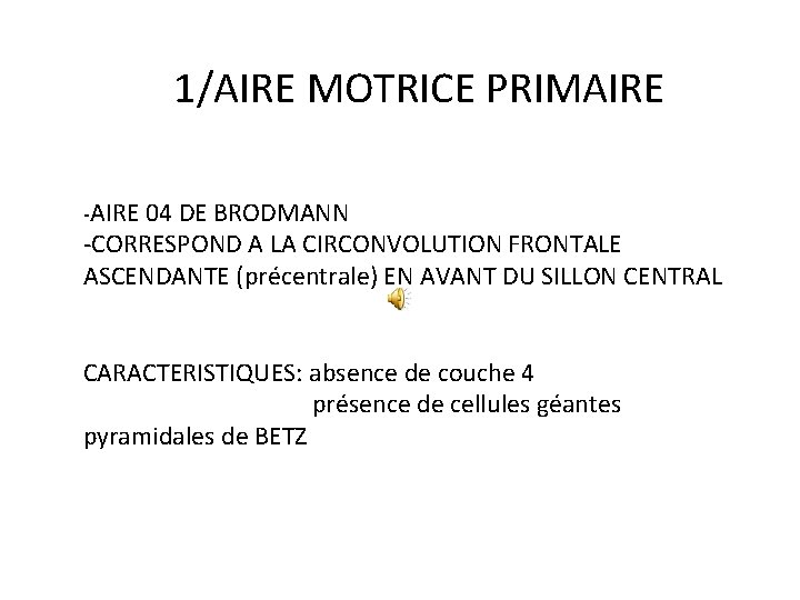 1/AIRE MOTRICE PRIMAIRE -AIRE 04 DE BRODMANN -CORRESPOND A LA CIRCONVOLUTION FRONTALE ASCENDANTE (précentrale)