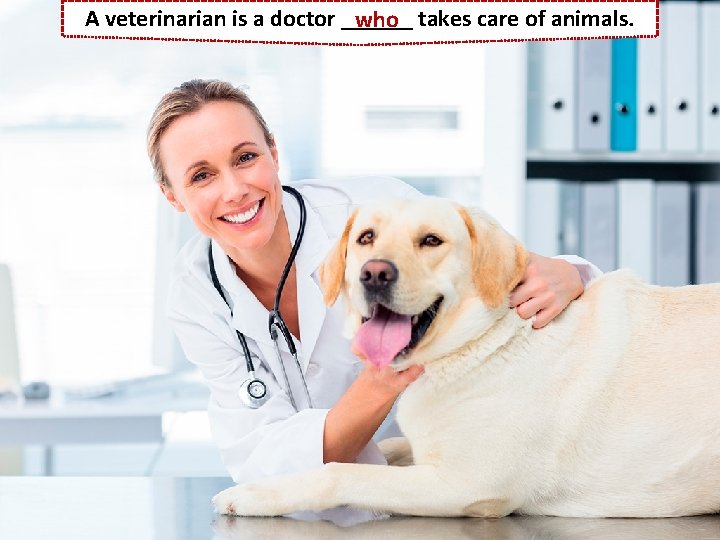 A veterinarian is a doctor ______ who takes care of animals. 