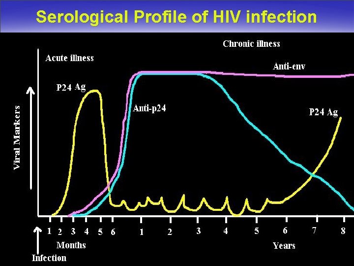 Serological Profile of HIV infection 