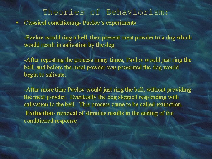 B F Skinner Behaviorism Stephen Schrader Education 101