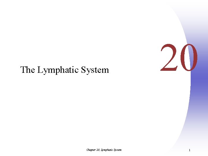 The Lymphatic System Chapter 20, Lymphatic System 20 1 