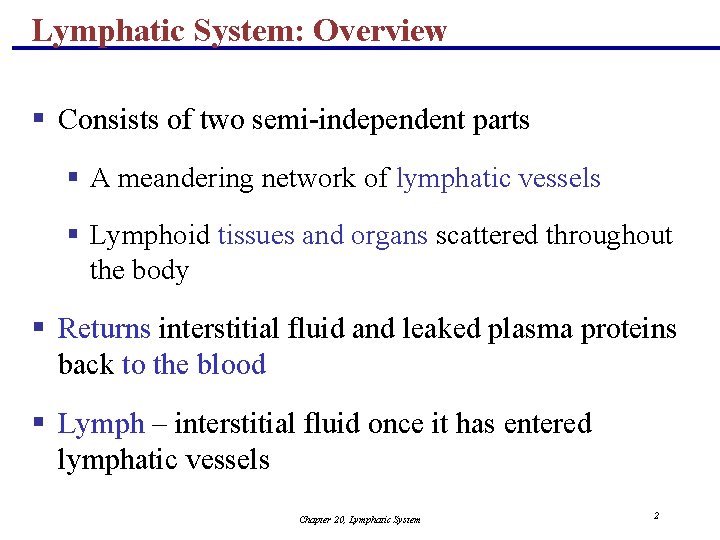 Lymphatic System: Overview § Consists of two semi-independent parts § A meandering network of