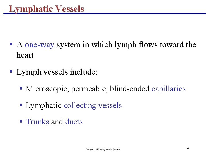 Lymphatic Vessels § A one-way system in which lymph flows toward the heart §