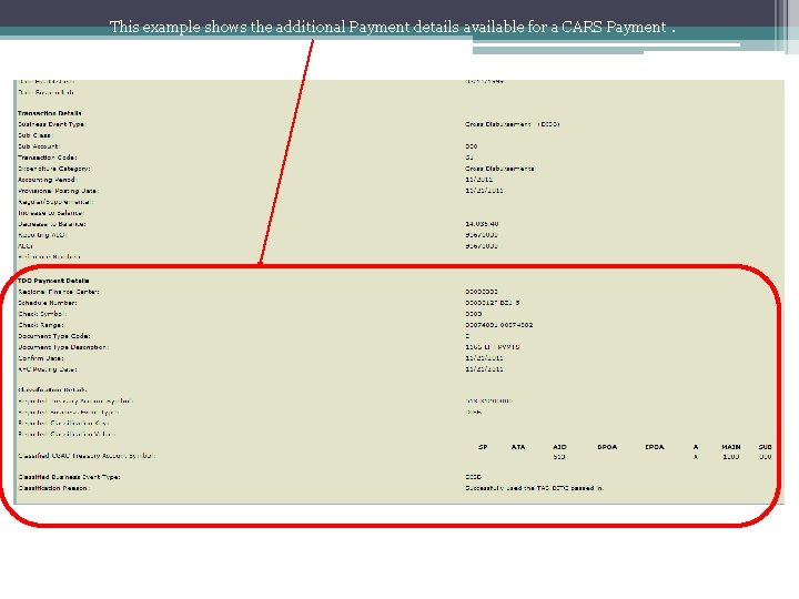 This example shows the additional Payment details available for a CARS Payment. 