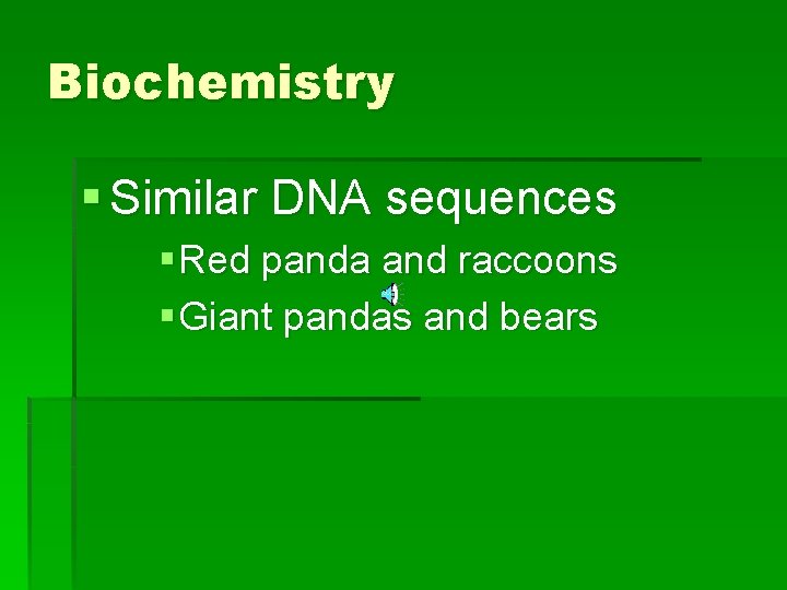 Biochemistry § Similar DNA sequences § Red panda and raccoons § Giant pandas and