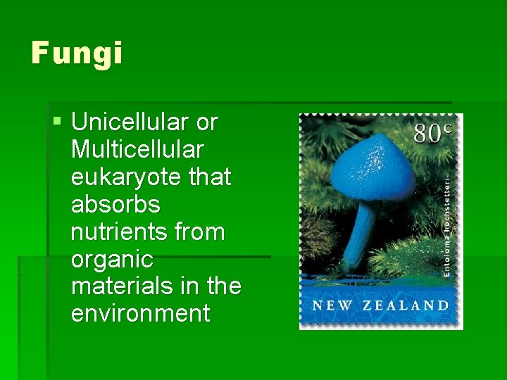 Fungi § Unicellular or Multicellular eukaryote that absorbs nutrients from organic materials in the