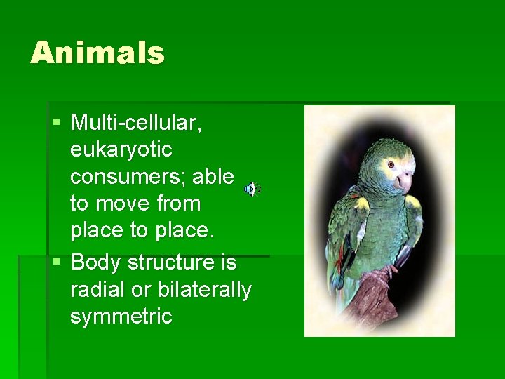 Animals § Multi-cellular, eukaryotic consumers; able to move from place to place. § Body