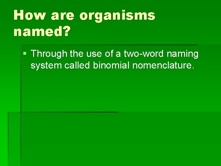 How are organisms named? § Through the use of a two-word naming system called