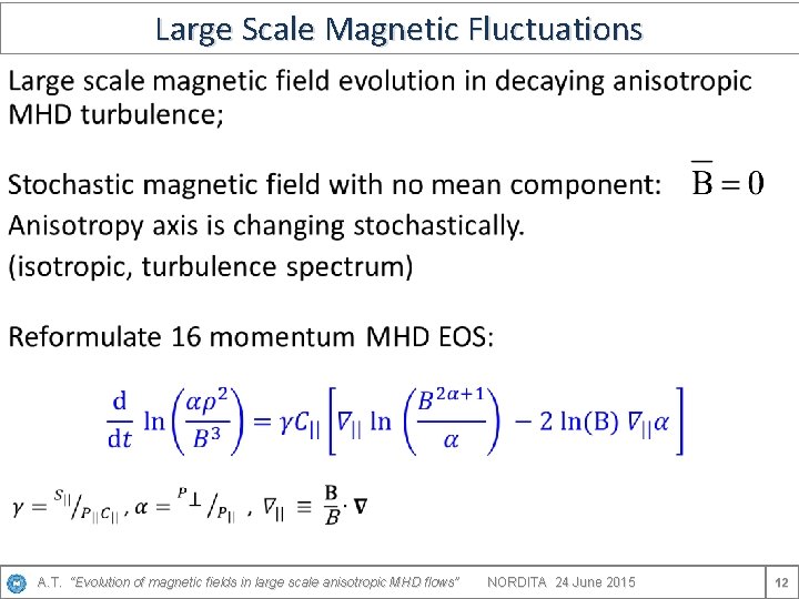 Large Scale Magnetic Fluctuations • A. T. “Evolution of magnetic fields in large scale