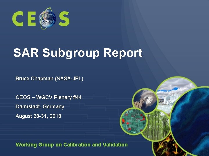 SAR Subgroup Report Bruce Chapman (NASA-JPL) CEOS – WGCV Plenary #44 Darmstadt, Germany August