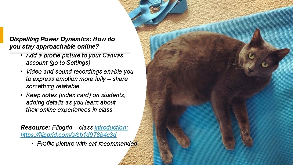 Dispelling Power Dynamics: How do you stay approachable online? • Add a profile picture