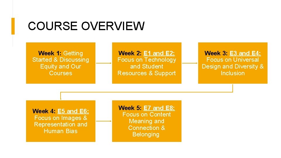 COURSE OVERVIEW Week 1: Getting Started & Discussing Equity and Our Courses Week 2: