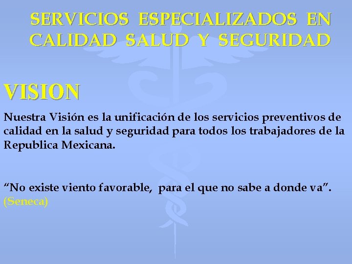 SERVICIOS ESPECIALIZADOS EN CALIDAD SALUD Y SEGURIDAD VISION Nuestra Visión es la unificación de