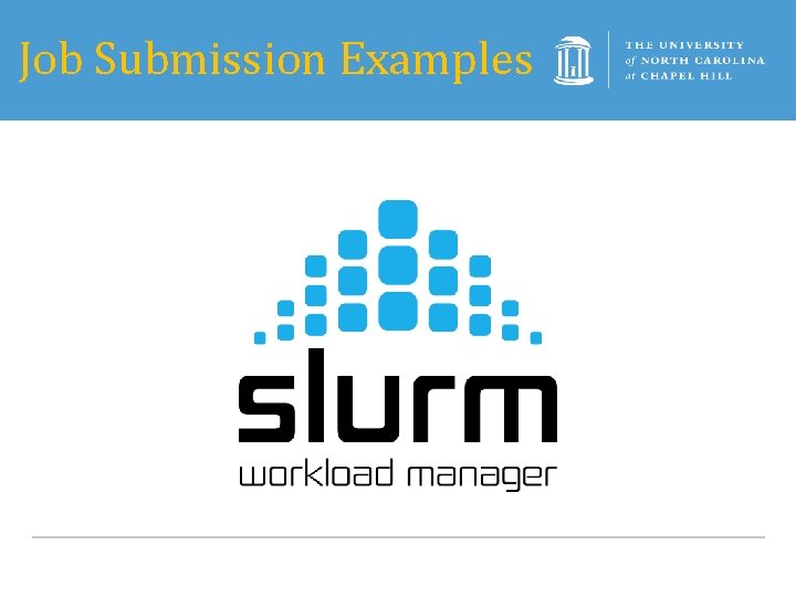 Job Submission Examples 
