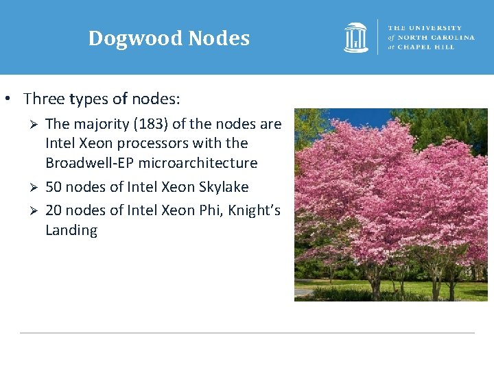Dogwood Nodes • Three types of nodes: Ø Ø Ø The majority (183) of