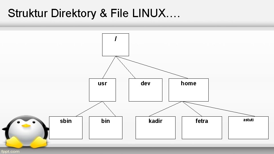 Struktur Direktory & File LINUX…. / usr sbin dev kadir home fetra astuti 