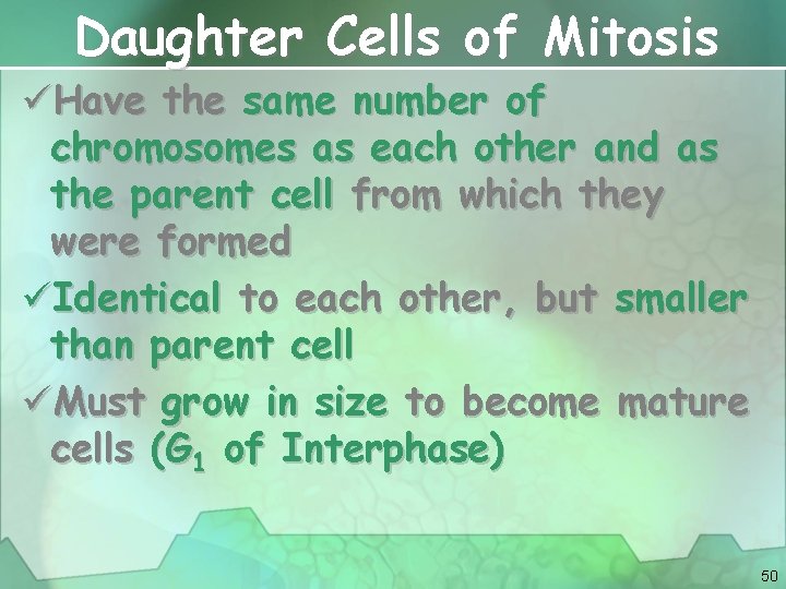 Daughter Cells of Mitosis üHave the same number of chromosomes as each other and