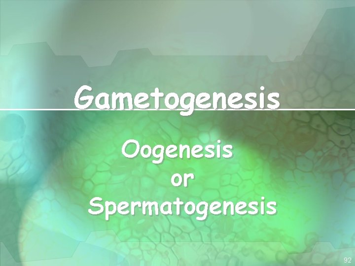 Gametogenesis Oogenesis or Spermatogenesis 92 