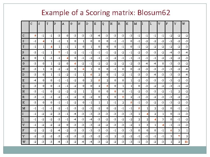 Example of a Scoring matrix: Blosum 62 C S T P A G N