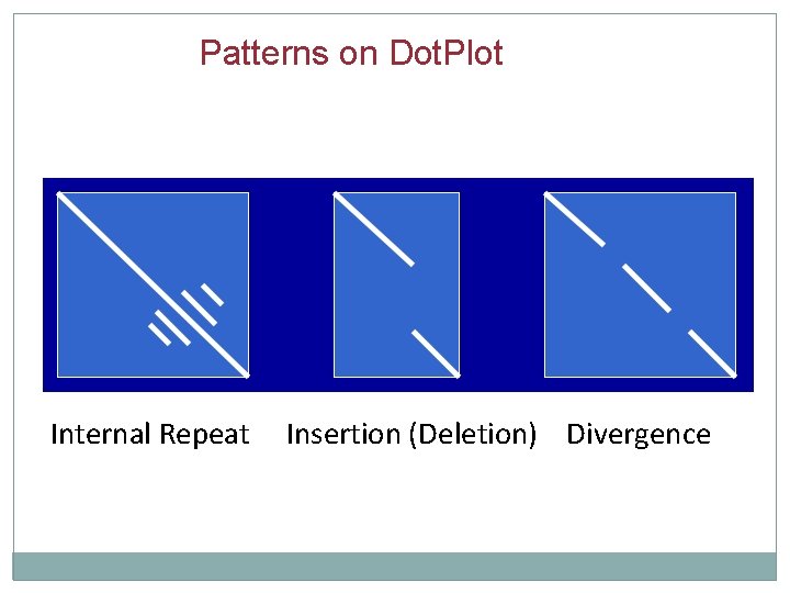 Patterns on Dot. Plot Internal Repeat Insertion (Deletion) Divergence 