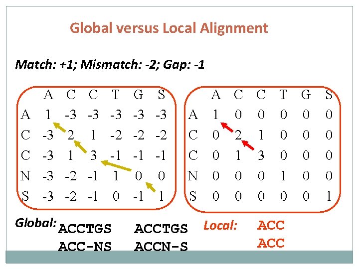 Global versus Local Alignment Match: +1; Mismatch: -2; Gap: -1 A C C N
