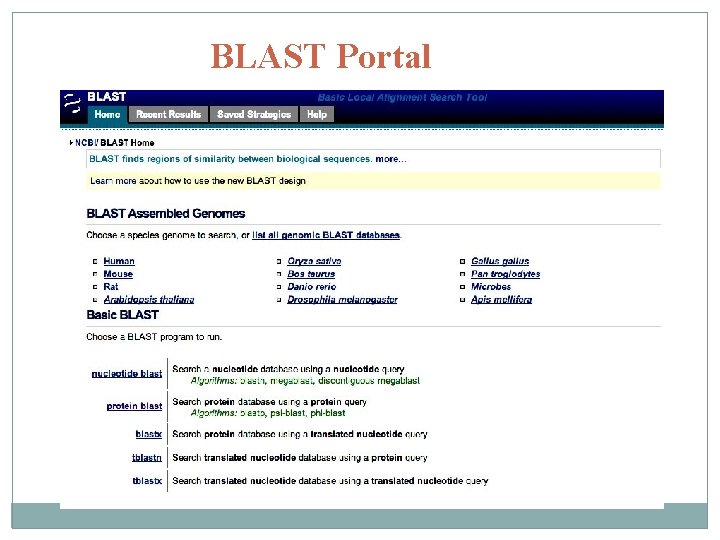 BLAST Portal 
