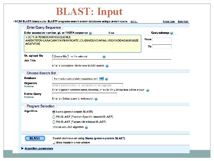 BLAST: Input 