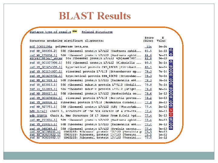 BLAST Results 