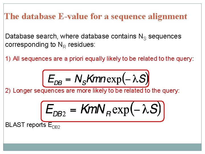 The database E-value for a sequence alignment Database search, where database contains NS sequences