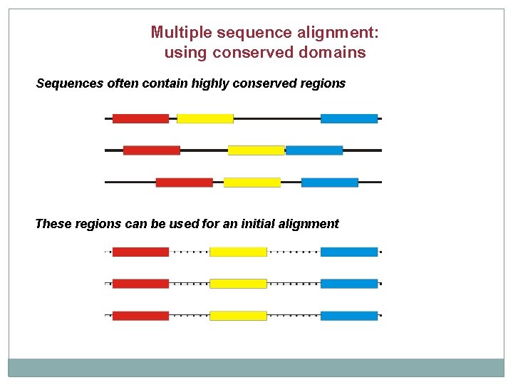 Multiple sequence alignment: using conserved domains Sequences often contain highly conserved regions These regions